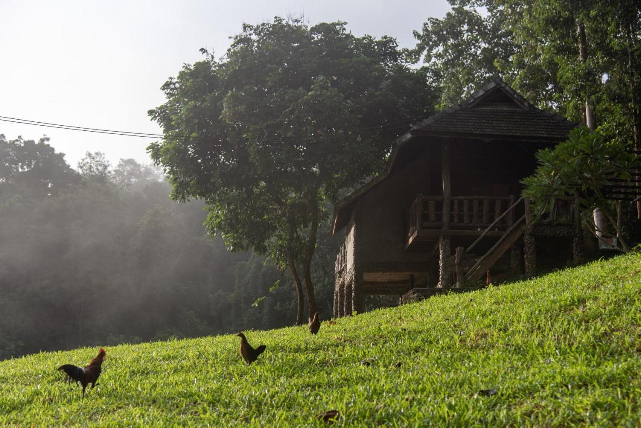 Tawan Riverside Mae Wang Bagian luar foto